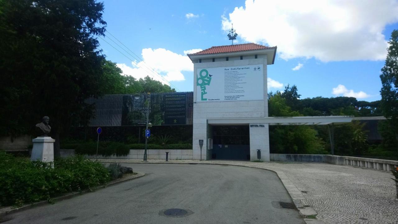 Alex Appartamento