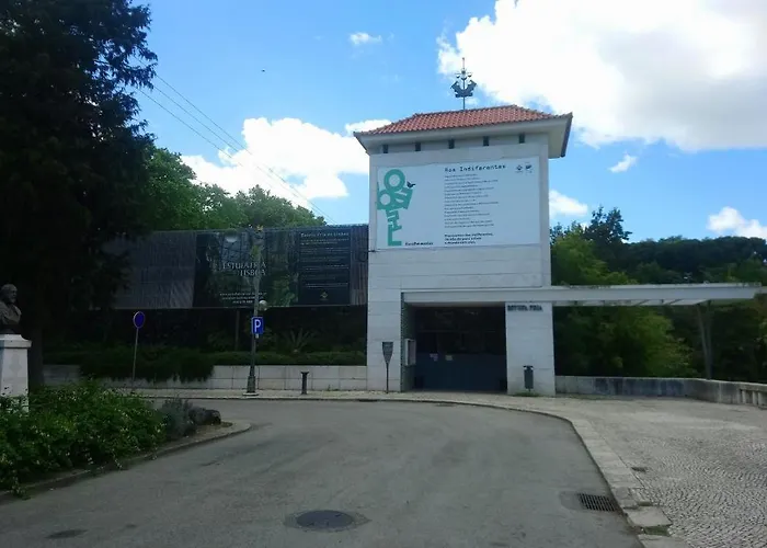 Alex Home